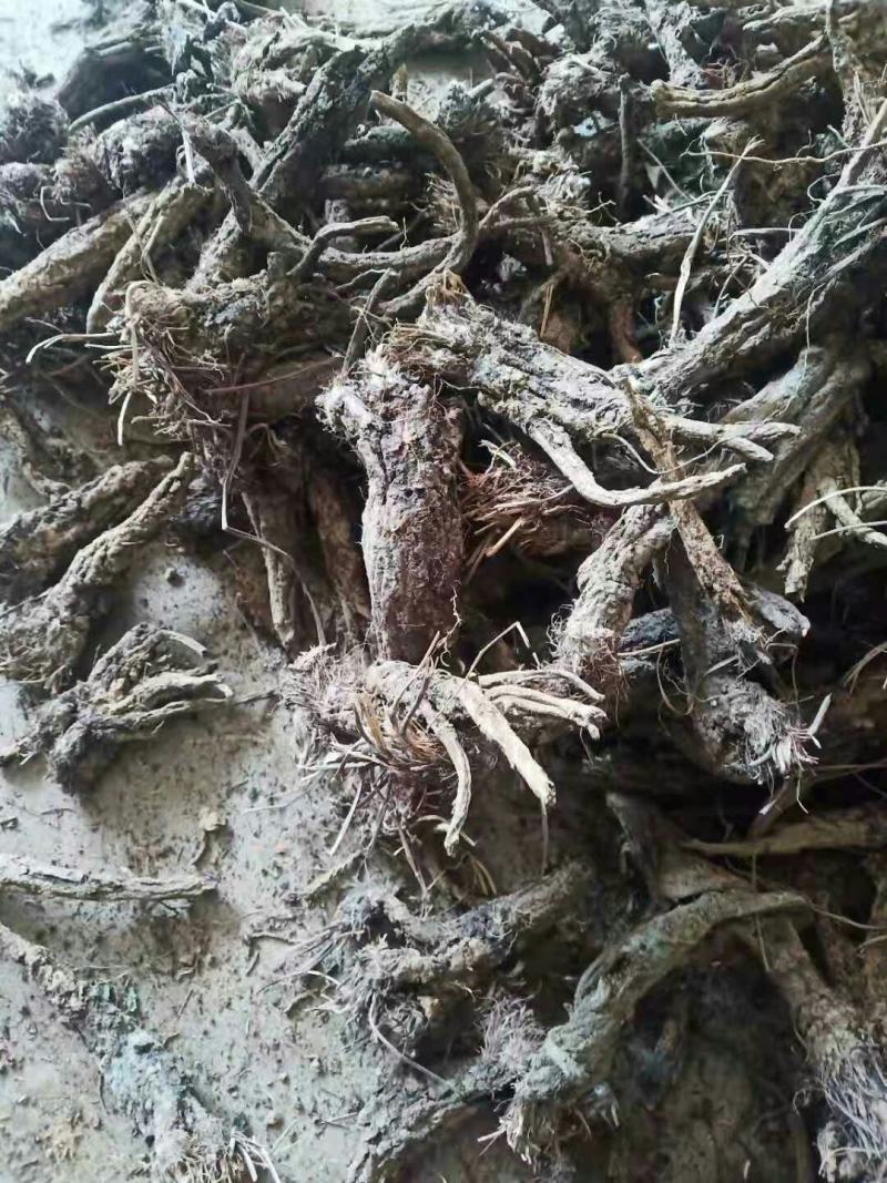 中药材