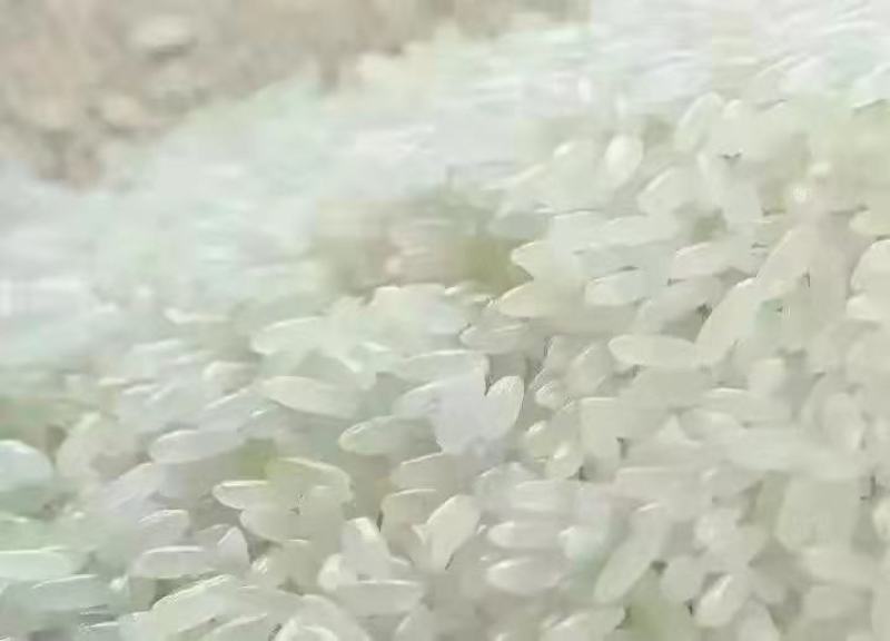 自产自销稻花香大米