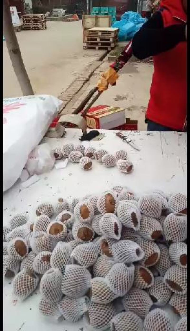 陕西宝鸡眉县冷库果精品徐香猕猴桃
