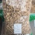 【牛商推荐】防风内蒙关防风河北防风含量高无硫