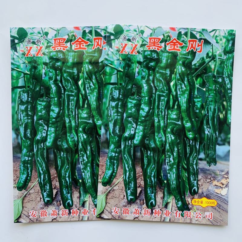 萧新黑金刚皱皮椒种子果色黑绿皱皮羊角型皱皱辣种子皮薄，辣