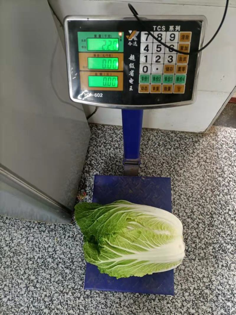 精品黄心白菜包菜精品优惠上市中，诚信经营，质量保证！