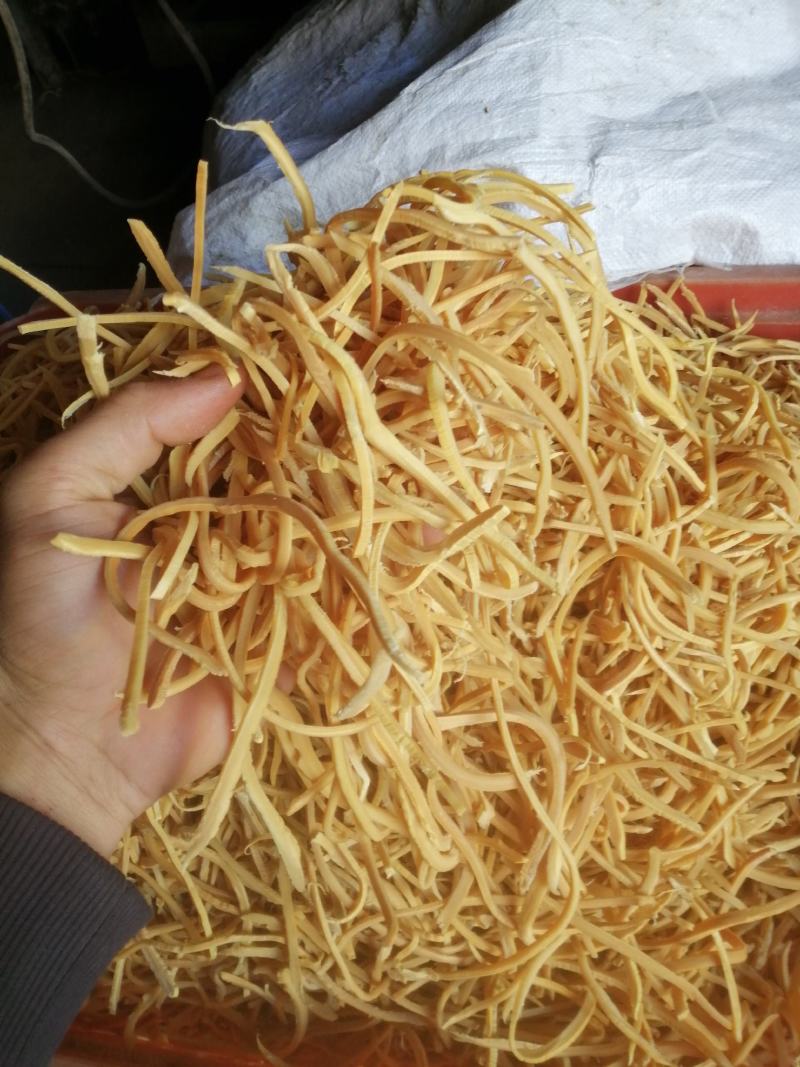 笋干2.0横丝60斤麻竹干笋丝英德大量麻竹笋干