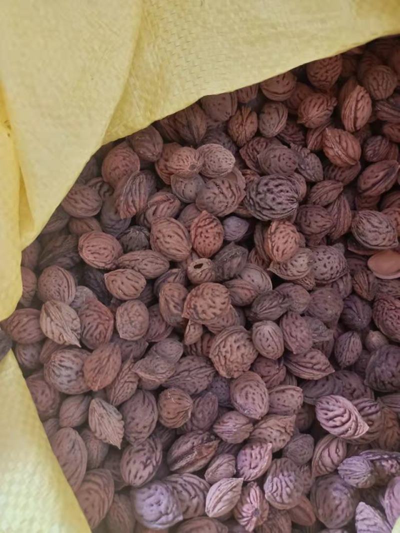 桃树种子，毛桃树种子，桃核，毛桃胡种子发芽率高