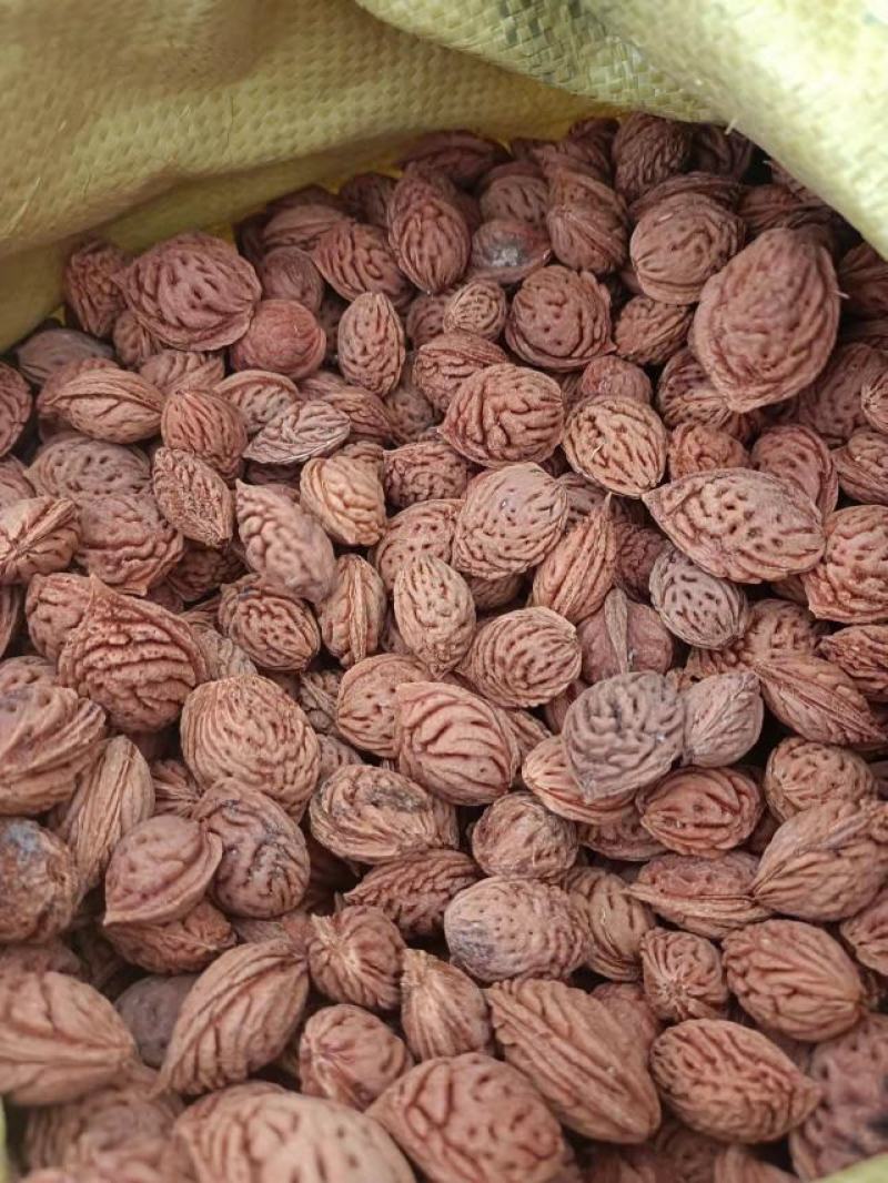 桃树种子，毛桃树种子，桃核，毛桃胡种子发芽率高