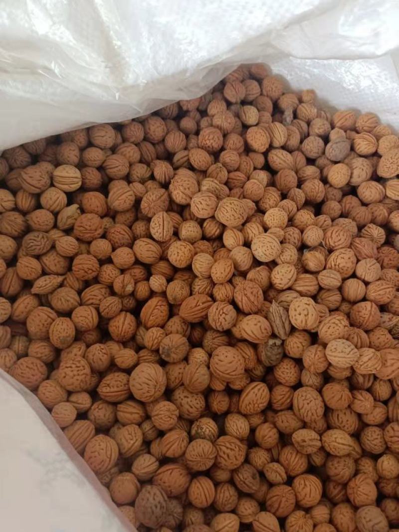 桃树种子，毛桃树种子，桃核，毛桃胡种子发芽率高