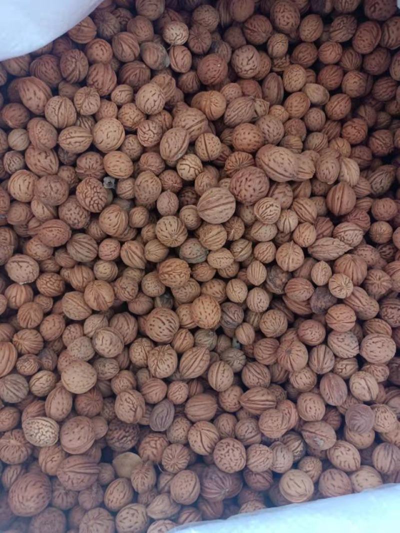 桃树种子，毛桃树种子，桃核，毛桃胡种子发芽率高