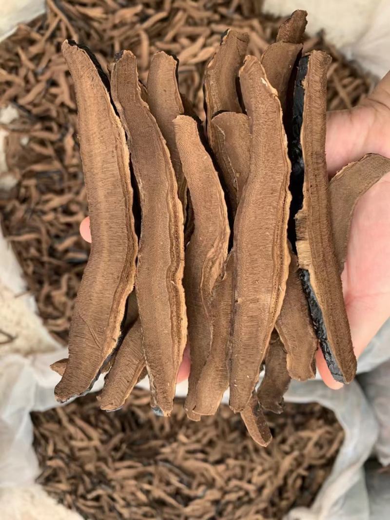 灵芝片不苦香芝干片