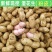 山东新鲜花生农家自种粉红皮花生5斤包邮电商一件代发