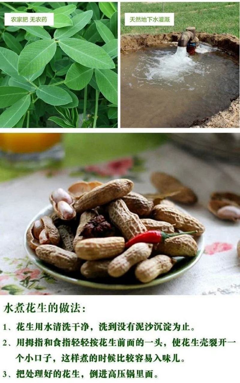 山东新鲜花生农家自种粉红皮花生5斤包邮电商一件代发