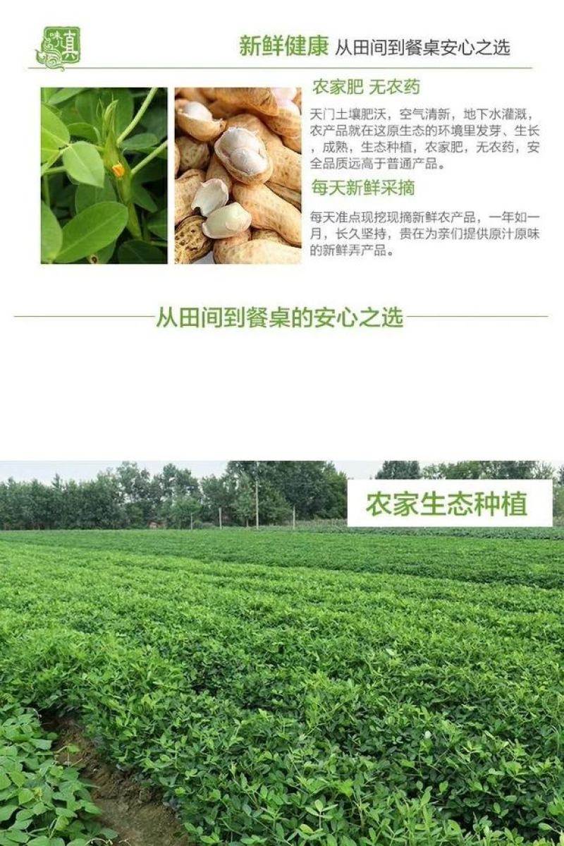 山东新鲜花生农家自种粉红皮花生5斤包邮电商一件代发