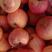 陕西洛川红富士苹果大量供应，1.5元一斤，大量有货供应！