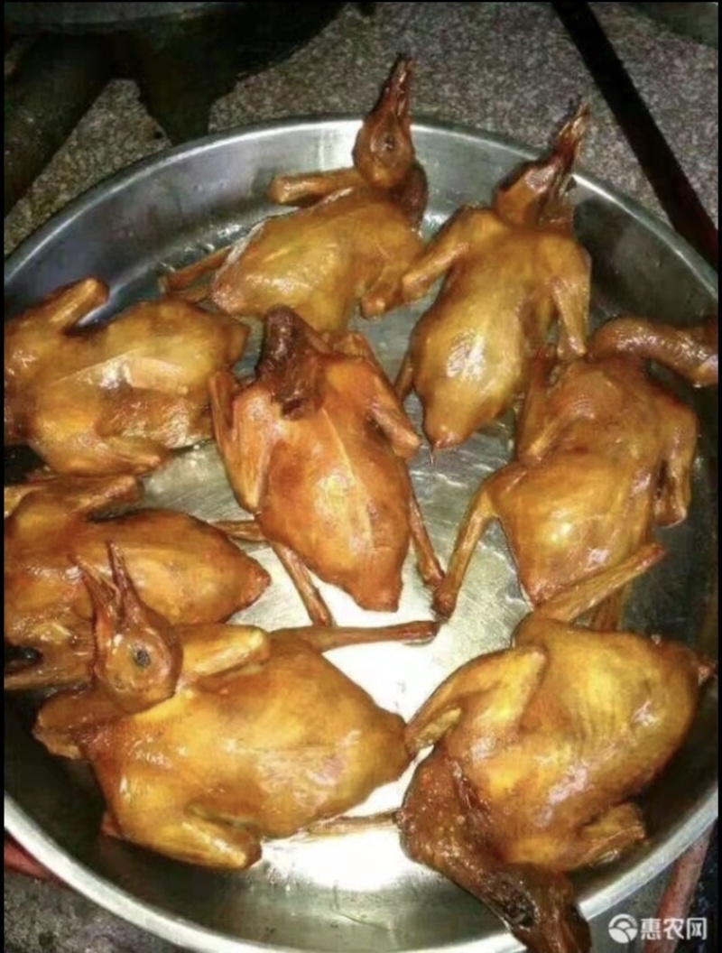 肉鸽产地直销现杀现发长期合作价格优惠