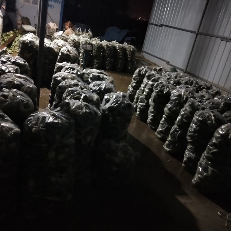 需要的请与我联系，