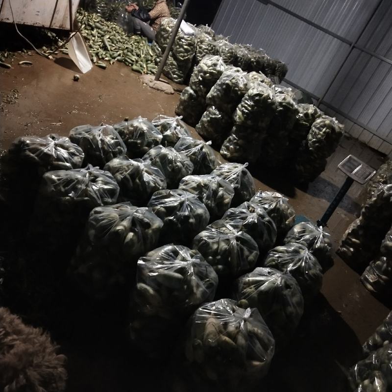 需要的请与我联系，
