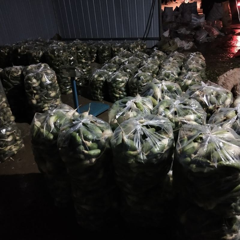 需要的请与我联系，