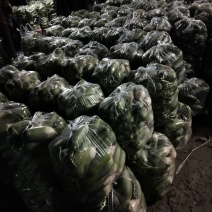 需要的请与我联系，