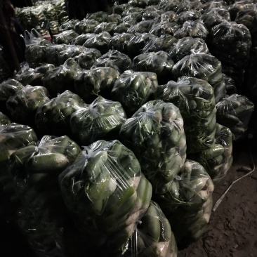需要的请与我联系，