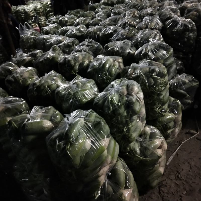 需要的请与我联系，
