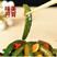 【热销】鲜辣黄瓜条厂家直销质量保证对接餐饮小吃店欢迎来电