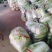 湖北精品大白菜大量上市一手货品基地直发支持视频看货
