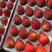 丹东红颜九九牛奶草莓防摔水晶盒大量上市烘焙专用