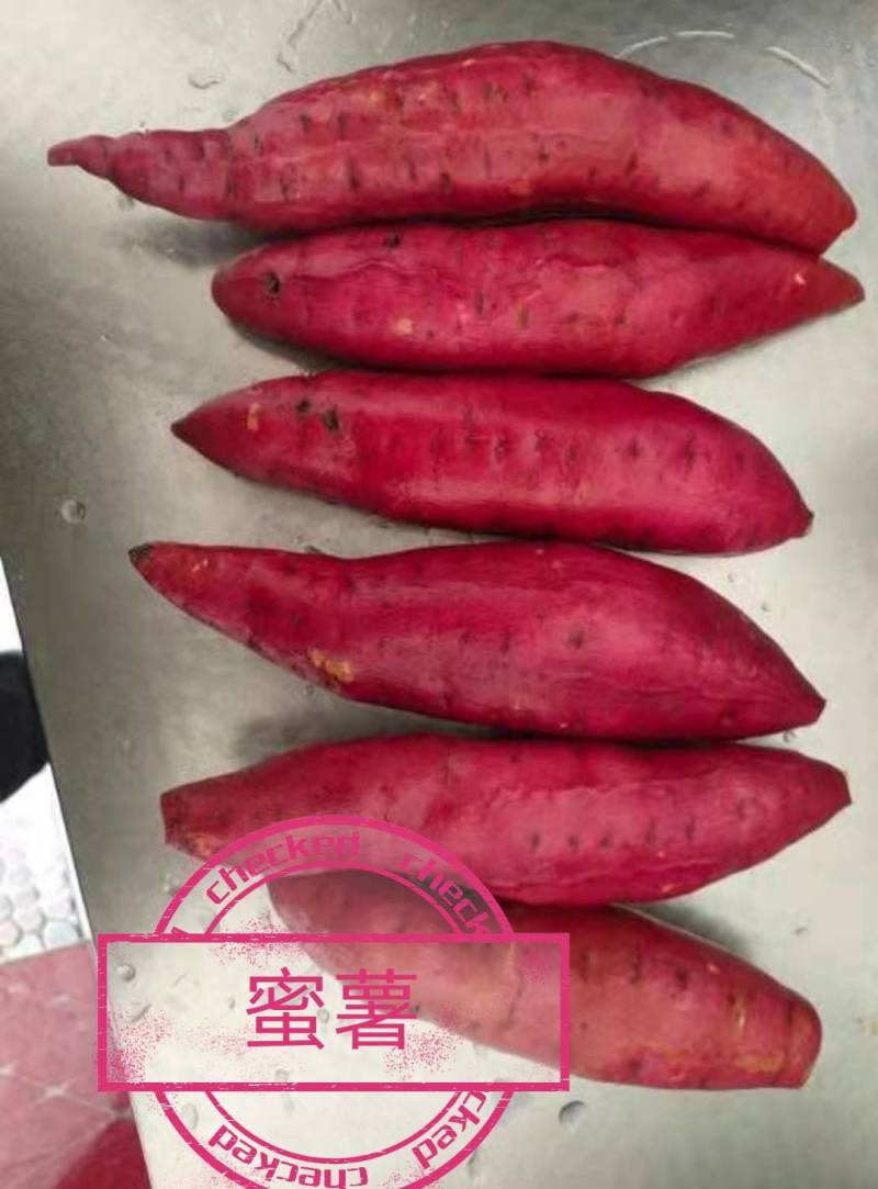 精品红薯无药