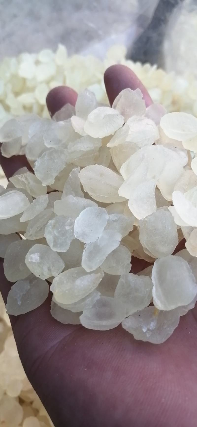 雪莲子云南雪莲子皂角米无硫无添加精挑细选实物图批发零售