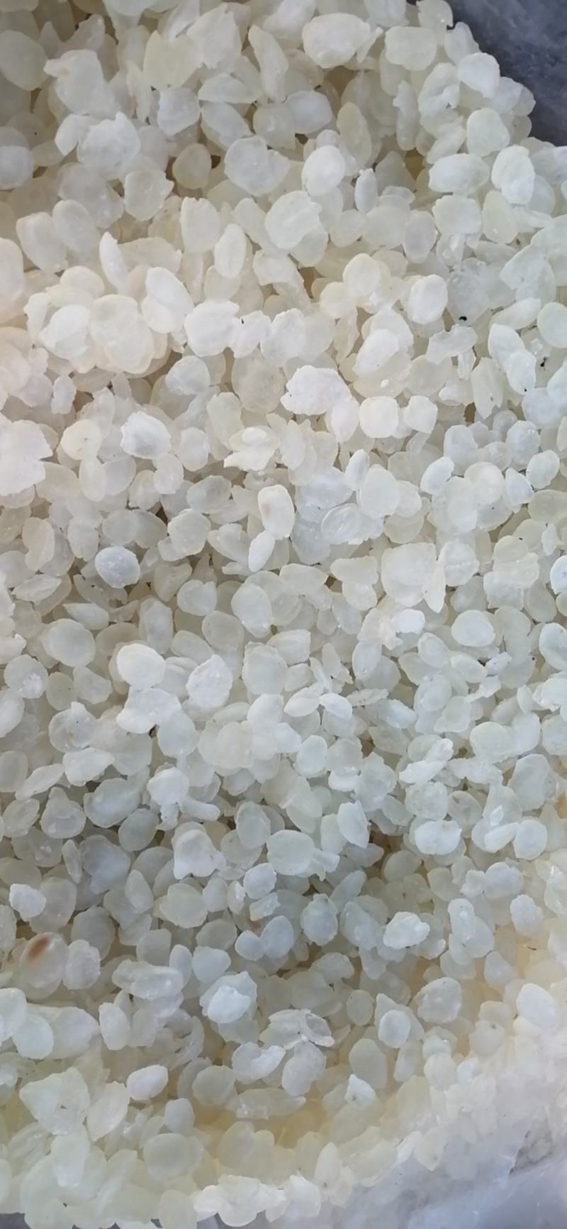 雪莲子云南雪莲子皂角米无硫无添加精挑细选实物图批发零售