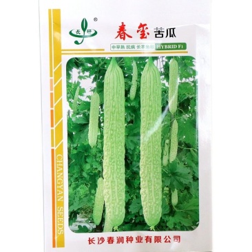 春玺苦瓜种子10克，商品性好，品质优良，果肉较厚，肉质软