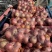 冰糖心精品红富士苹果。产地直销。一手货源。价格便宜