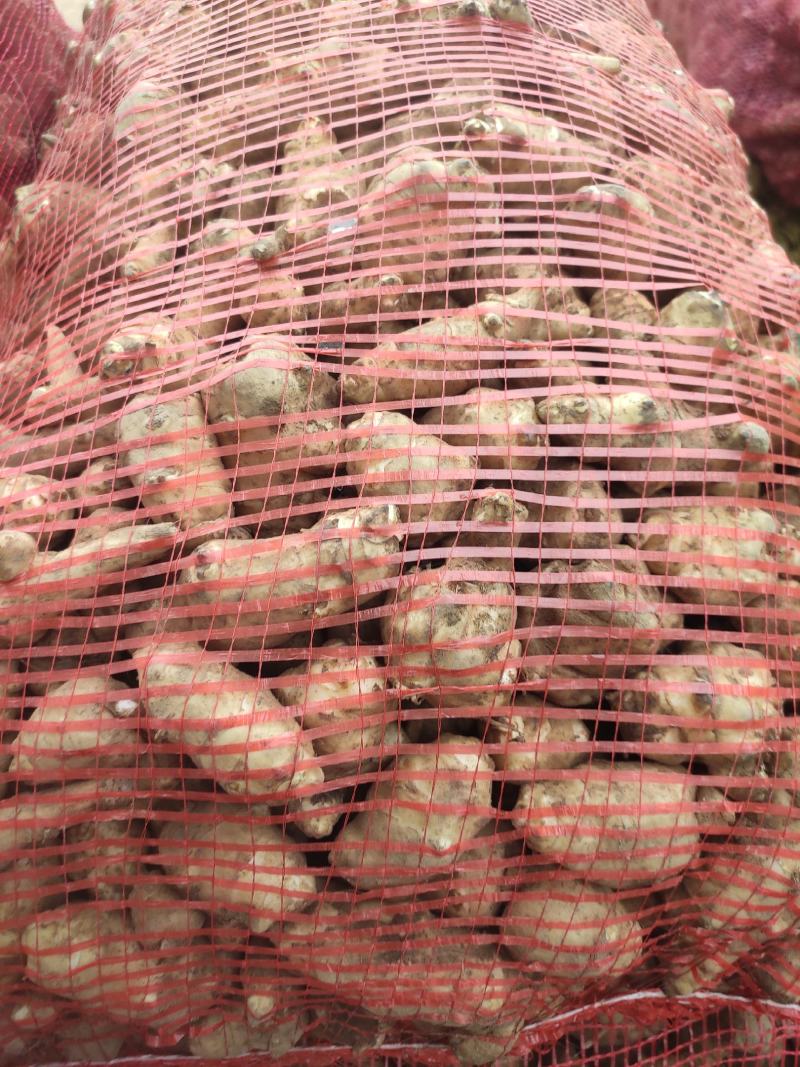白皮洋姜，菊芋，鬼子姜！山姜，姜不辣！