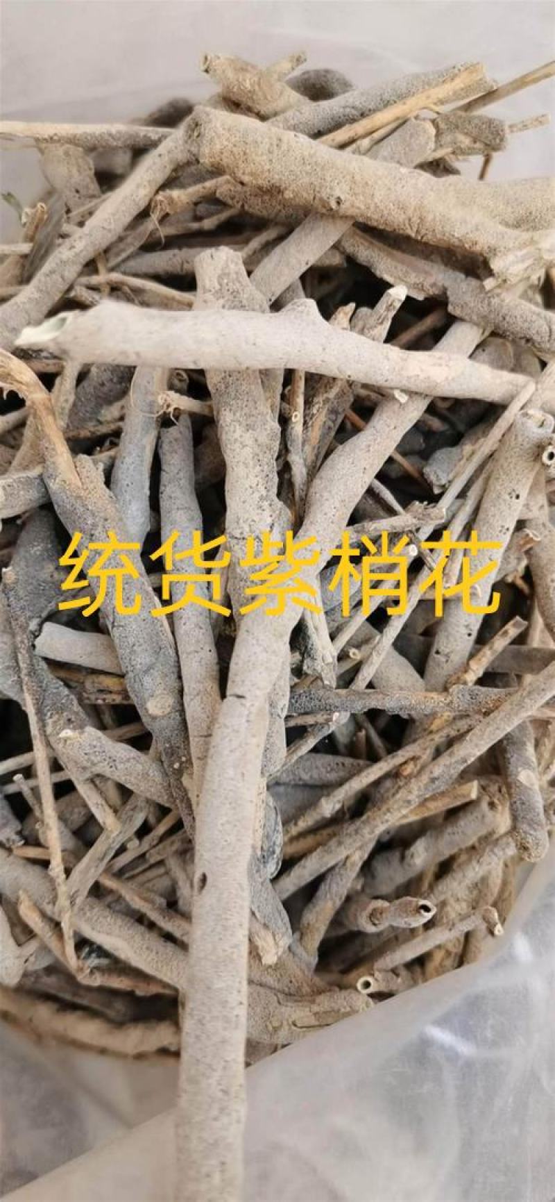紫梢花，紫霄花正品质量保证经营各种中药材欢迎咨询选购