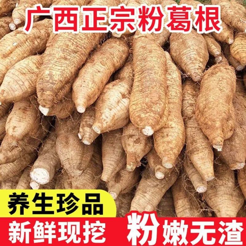 葛根黄金粉葛广西葛根广西粉葛一手货源量大从优