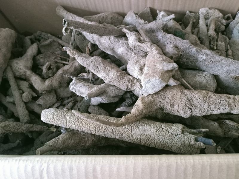 紫梢花，紫霄花正品质量保证经营各种中药材欢迎咨询选购