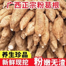 葛根广西粉葛广西葛根无渣粉葛地头一手货源