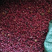 优质红小豆，杂质少，水分干，价格有要大货的老板