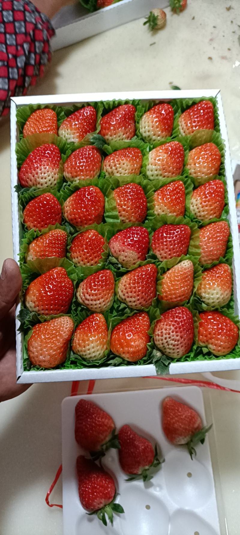 冬草莓大量上货品种齐全零售批发