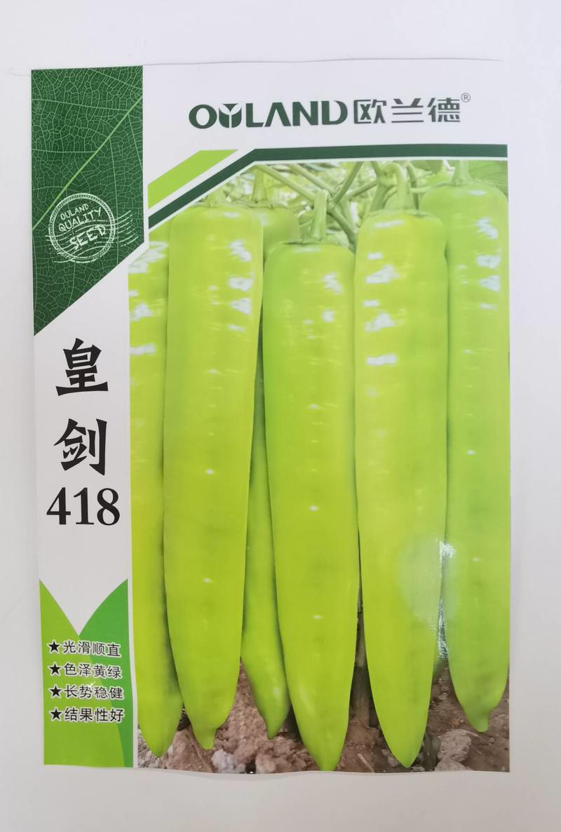 【高品质】皇剑418尖椒种子辣椒种子大果黄绿皮羊角椒