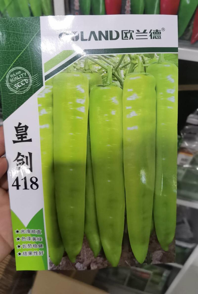 【高品质】皇剑418尖椒种子辣椒种子大果黄绿皮羊角椒