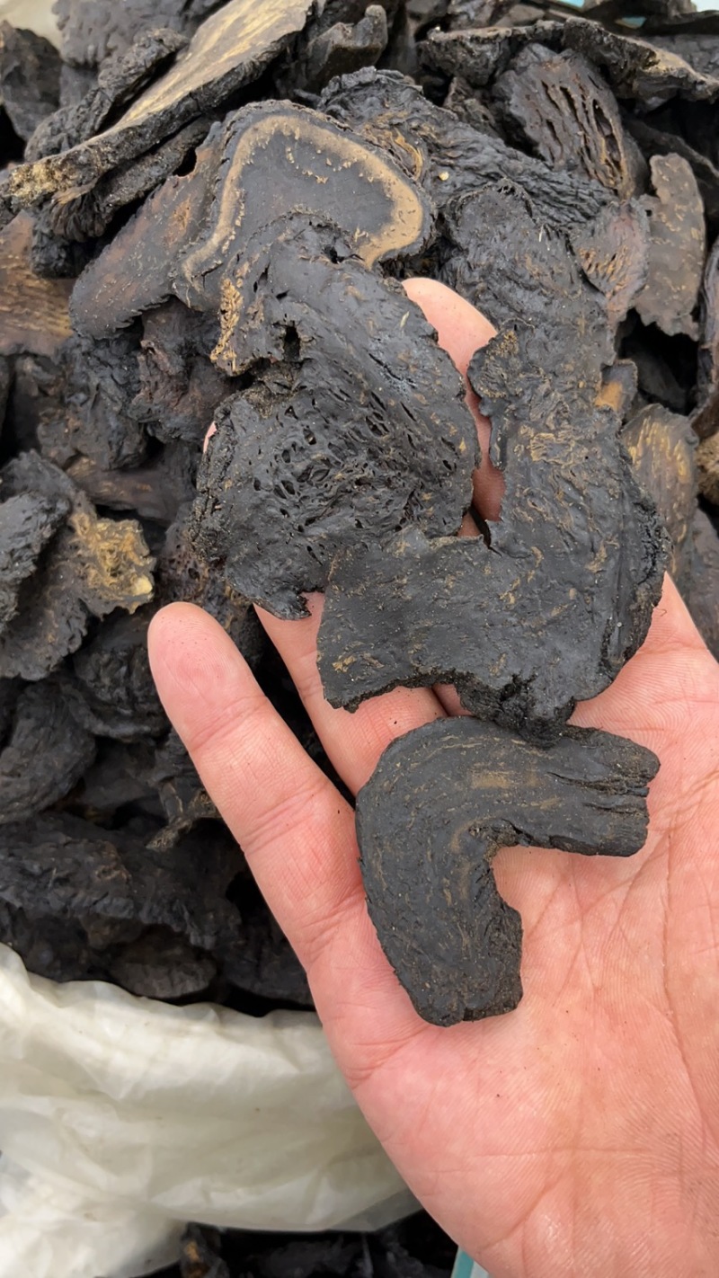 肉苁蓉大货各种规格齐全欢迎您的选购与支持