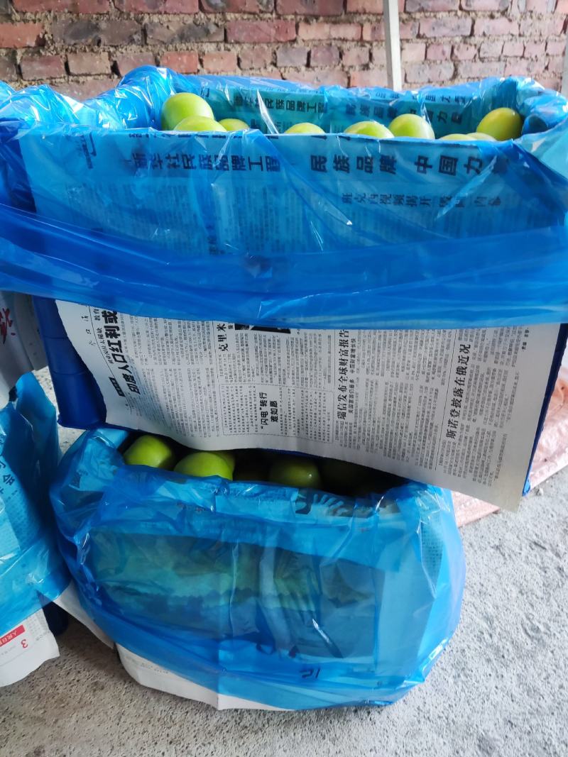 牛奶枣，贵妃枣，福建青枣，产地代办，对接社区团购，商超，