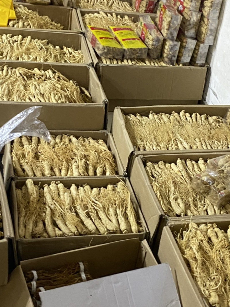 产地直销，大货供应西洋参，各种规格。物美价优？