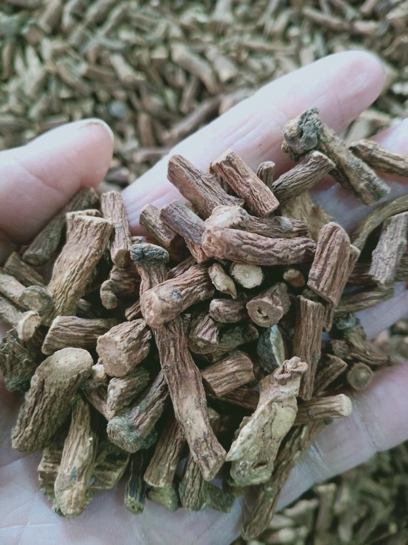 蒲公英根，蒲公英根茶质量保证现货供应，不满意包退货！