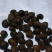 油茶籽干货中小籽30年老树手挑子最后两千多斤，价格优惠