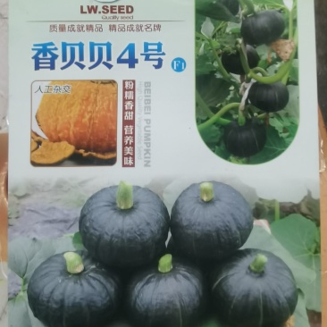 香贝贝4号贝贝南瓜种子抗病高产每袋100粒装