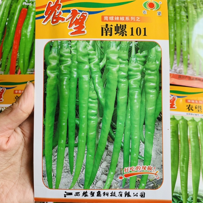 农望南螺101杂交一代特色皱皮线椒种子皮薄质脆好吃的辣椒