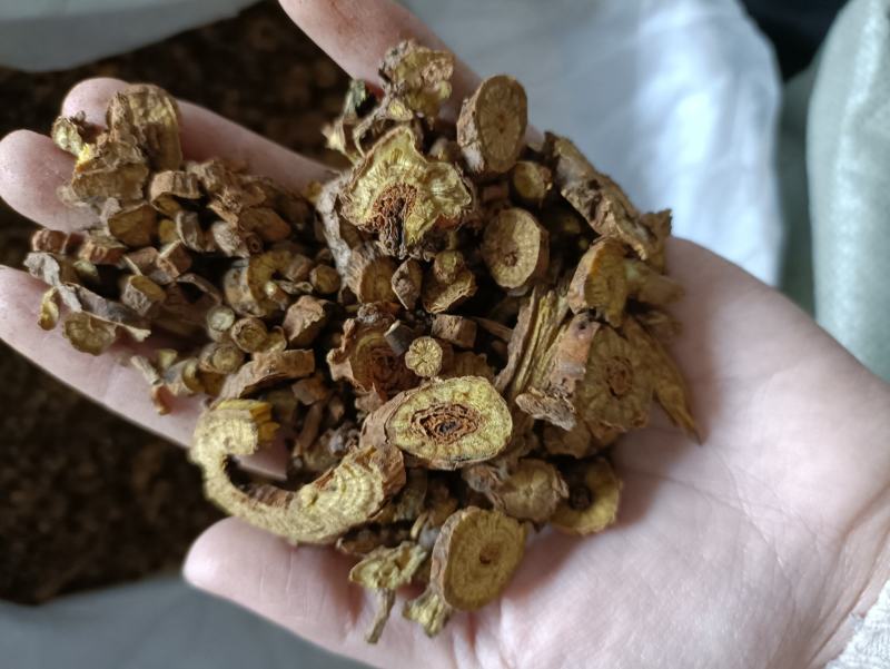 黄芩山西黄芩圆片黄芩好统货看规格下单