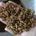 黄芩山西黄芩圆片黄芩好统货看规格下单