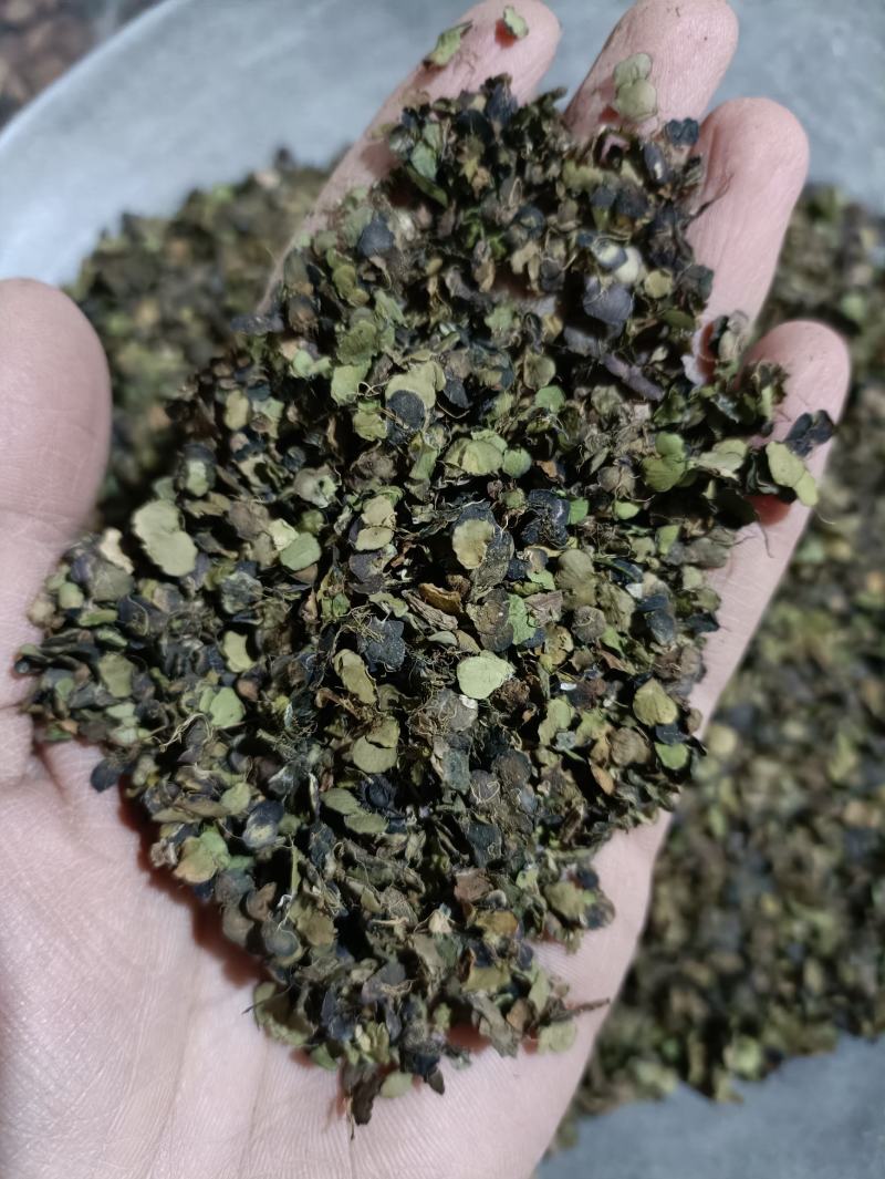 浮萍浮萍草青浮萍青萍统货佳佳药业供应各种中药材